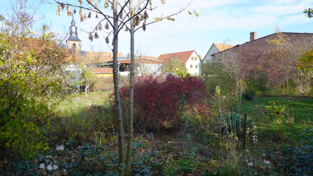 Huette Mit Herz Im Harz Apartment Meisdorf Luaran gambar